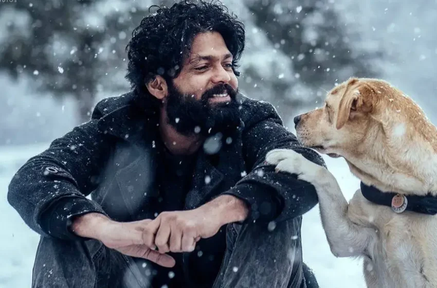  ಓಟಿಟಿಗೆ ಬರಲು ಸಿದ್ಧವಾದ 777 ಚಾರ್ಲಿ ಸಿನಿಮಾ