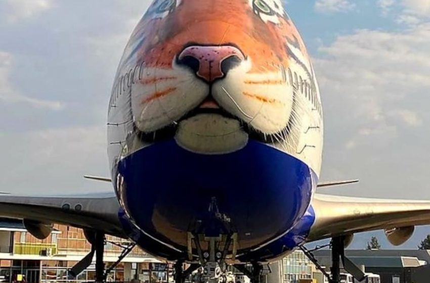  ಪ್ರಧಾನಿ ನರೇಂದ್ರ ಮೋದಿ ಹುಟ್ಟುಹಬ್ಬದ ಹಿನ್ನೆಲೆ: ದೇಶಕ್ಕೆ ಬರುತ್ತಿವೆ 8 ಚಿರತೆಗಳು