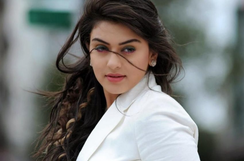  ಹಸೆಮಣೆ ಏರಲು ಸಜ್ಜಾದ ಬಹುಭಾಷಾ ನಟಿ ಹನ್ಸಿಕಾ ಮೋಟ್ವಾನಿ